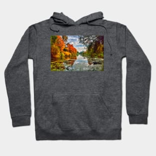 Lakeside Autumn Trees Hoodie